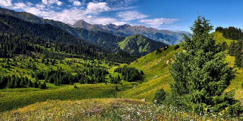 Blog: International Educational Programmes: Differences in Approaches between Developed and Developing Countries