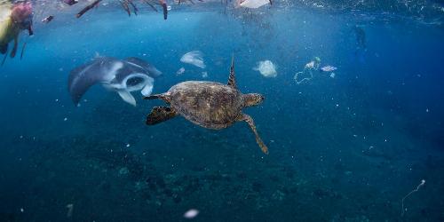 Блог: Проблемы и пути снижения антропогенного воздействия на воды Мирового океана